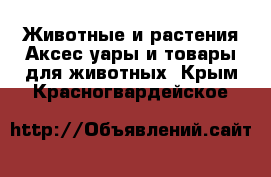 Животные и растения Аксесcуары и товары для животных. Крым,Красногвардейское